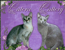 Tablet Screenshot of cateracattery.com